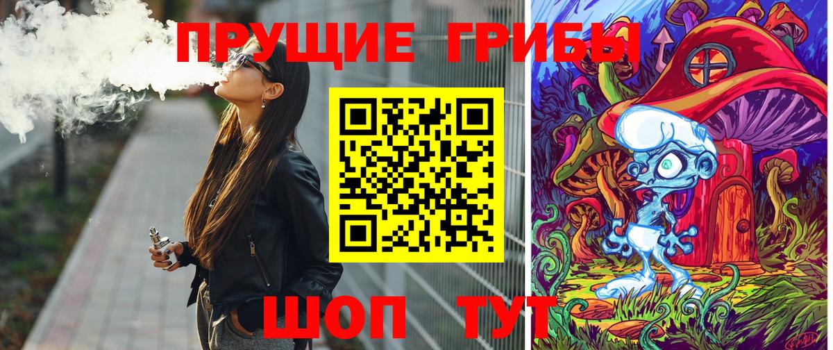 Псилоцибиновые грибы Psilocybine cubensis  Вход с VPN  Советский 